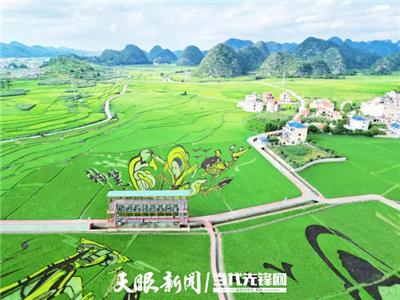 观山湖区民宿立即预订 欢迎咨询 贵中和文化旅游供应