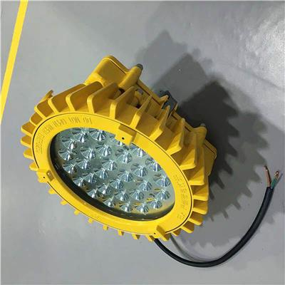 BFE8126 应急LED防爆泛光灯