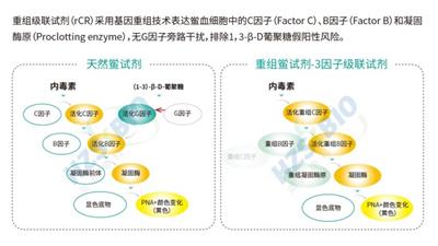 江苏血液制品内毒素检测常见问题分析 湖州申科生物技术股份供应