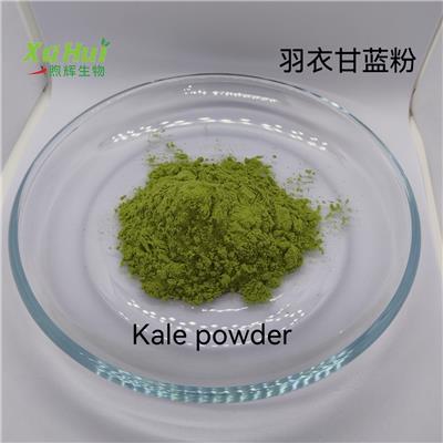 煦辉生物供应羽衣甘蓝粉