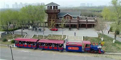 贵州齿轨爬山小火车定制厂家 浙江中特轨道交通装备集团供应