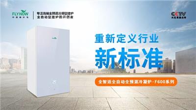 重庆双泵全预混冷凝炉 创造辉煌 佛山缝叶鸟环境科技供应