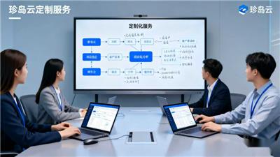 出口珍岛云定制化服务配件 欢迎来电 思锐科技供应