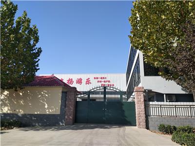 2025年游乐设备公司新推荐排行榜白皮书，近两年无处罚记录游乐设备公司推荐、低空小缆车游乐设备推荐厂家、大型游乐设备厂商哪家好