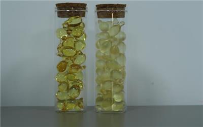 湖南无化学残留藻油DHA原料 脂禾生物科技供应