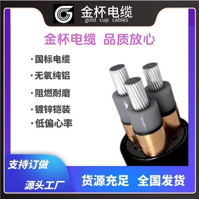 【高压ZR-YJLV】金杯电线电缆高压YJLV阻燃足米