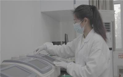 上海藻油DHA原料 脂禾生物科技供应