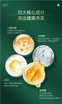 男士去屑洗发水及头皮炎症适用洗发水选购指南