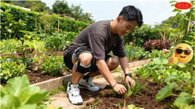 宁夏效果助膝器欢迎选购 和谐共赢 广州踏天崖科技供应