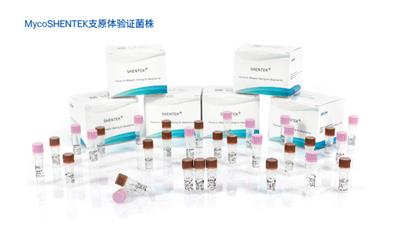 上海细胞疗法产品支原体检测NAT法 湖州申科生物技术股份供应