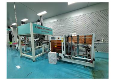 上海自动装箱机工作流程 来电咨询 上海磐风机电科技供应