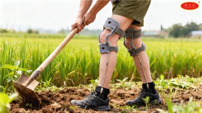 天津附近哪里有助腿器服务热线 值得信赖 广州踏天崖科技供应