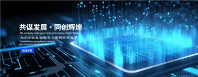 实时数据分析型AI-saas互联网数字营销测试 诚信经营 安徽承锦数据智能供应