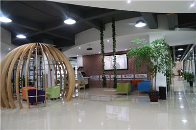 深度剖析国技互联：技术优势尽显，可靠之选登场