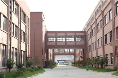 **拉拉裤品牌大揭秘：哪个性价比高？