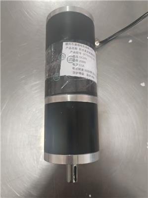防水IP67微型36V直流电机