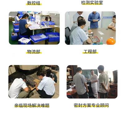 车氏密封TB5-IA活塞杆用J型滑环式组合/耐高压300MPA 活塞密封