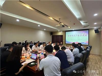 口碑好实力强！探寻短视频拍摄公司的优质之选