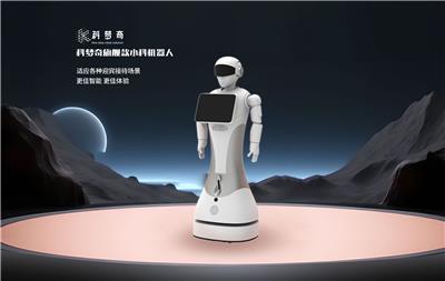 探寻智能机器人靠谱之选：哪一家的机器人智能体系完善、设计精巧且平稳发展